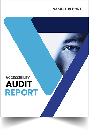 Professional Accessibility Audit Reports Sample